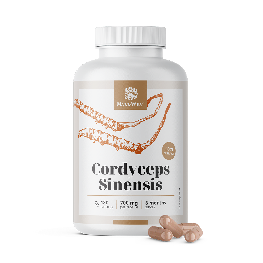 Cordyceps sinensis 1400 mg – izvleček 10:1