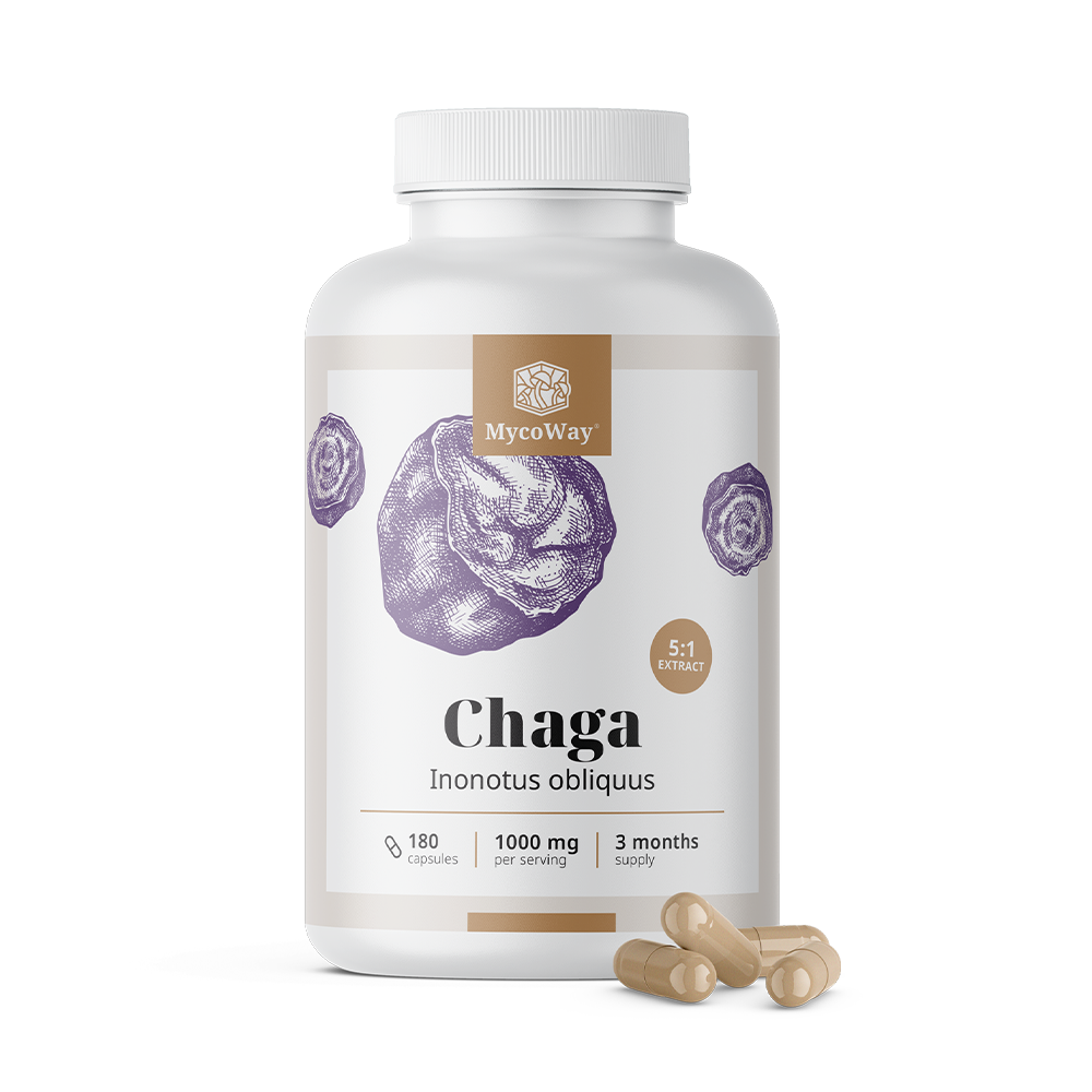 Chaga 1000 mg – izvleček 5:1