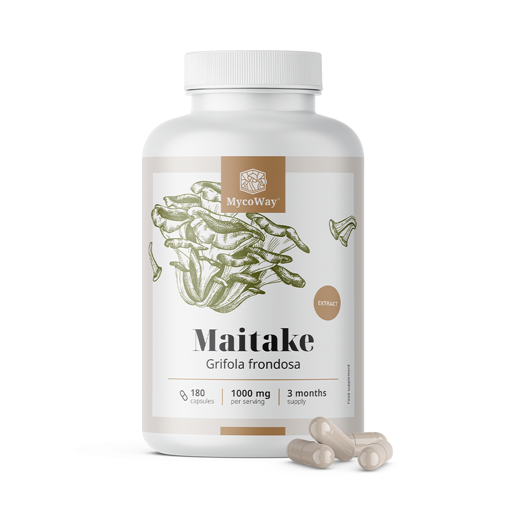 Maitake 1000 mg – izvleček