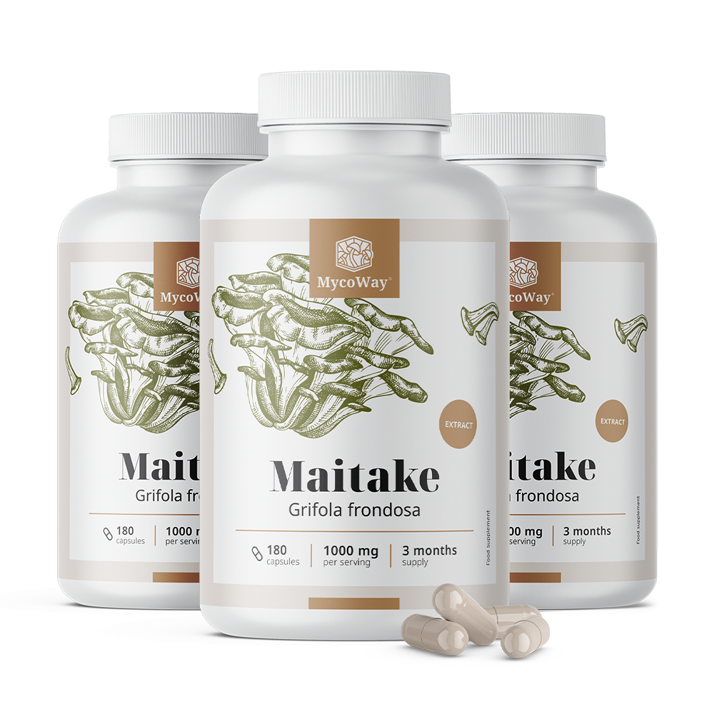 Maitake 1000 mg – izvleček