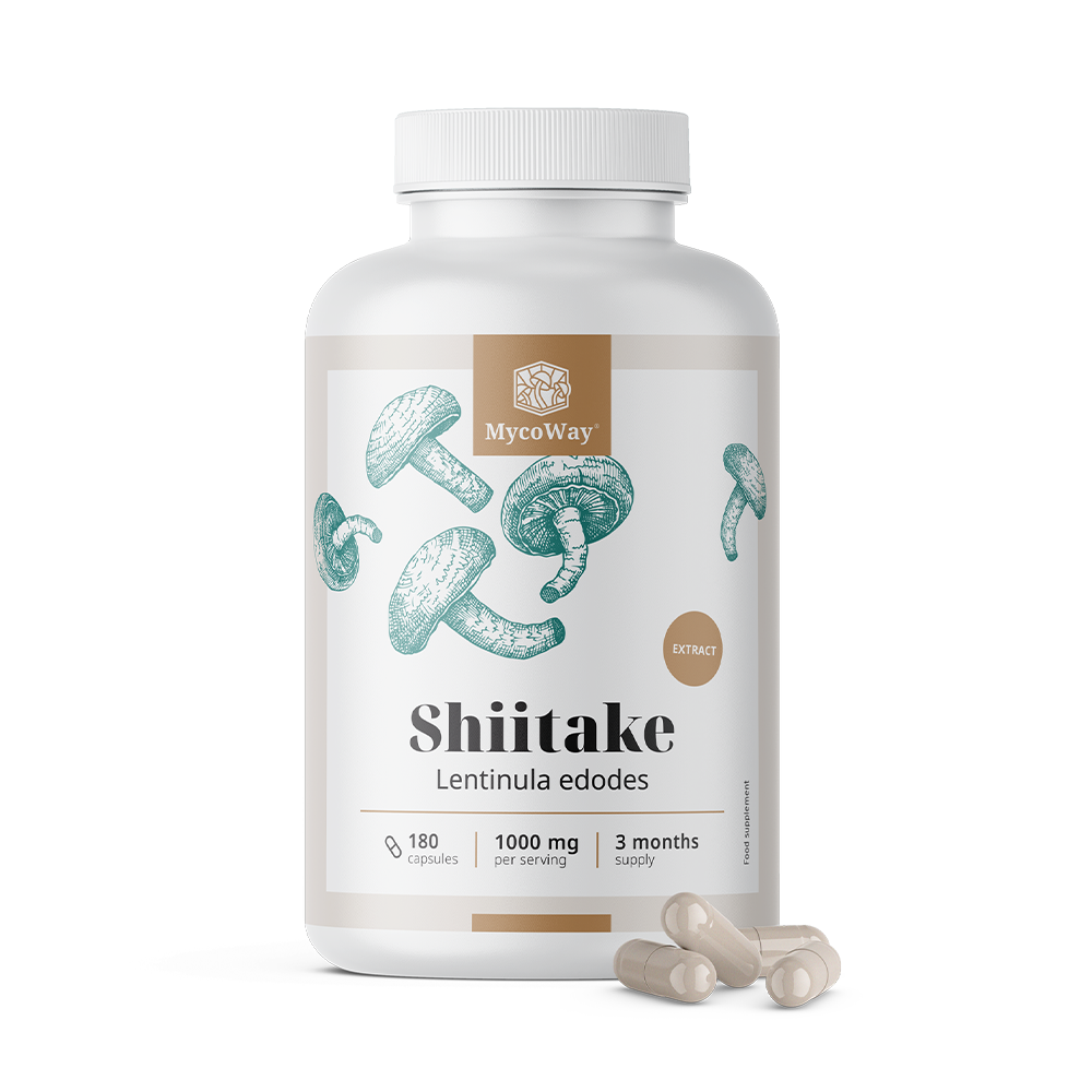 Shiitake 1000 mg – izvleček