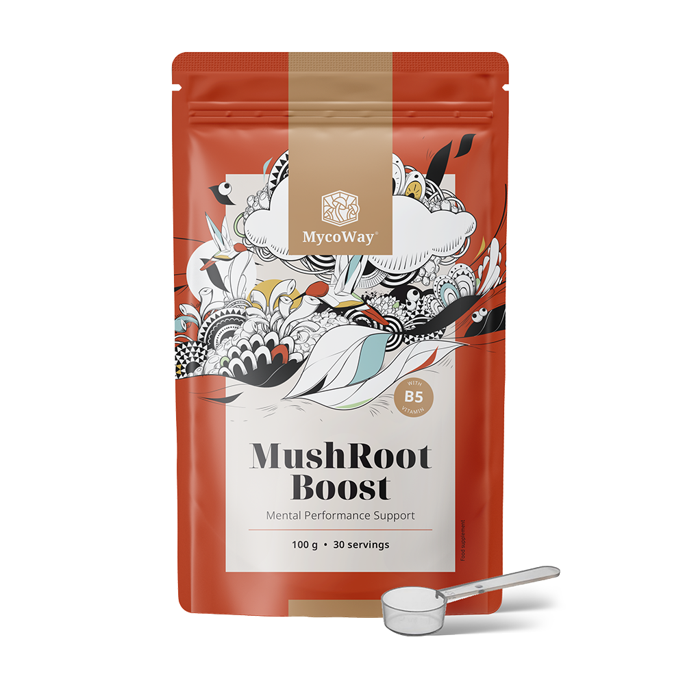 MushRoot Boost – napitek za umsko zmogljivost