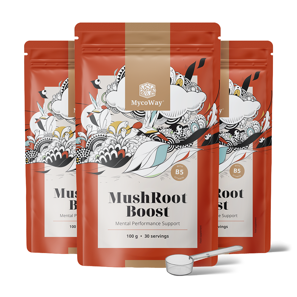 MushRoot Boost – napitek za umsko zmogljivost