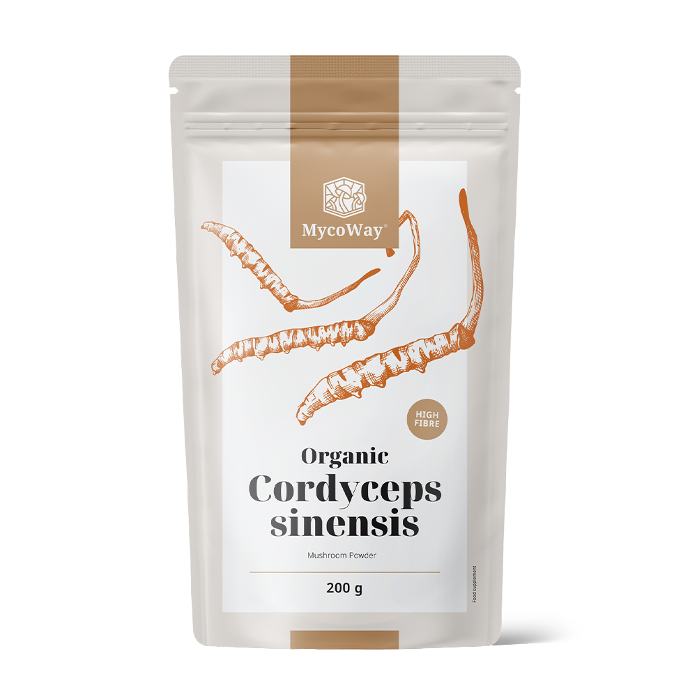 BIO Cordyceps sinensis v prahu