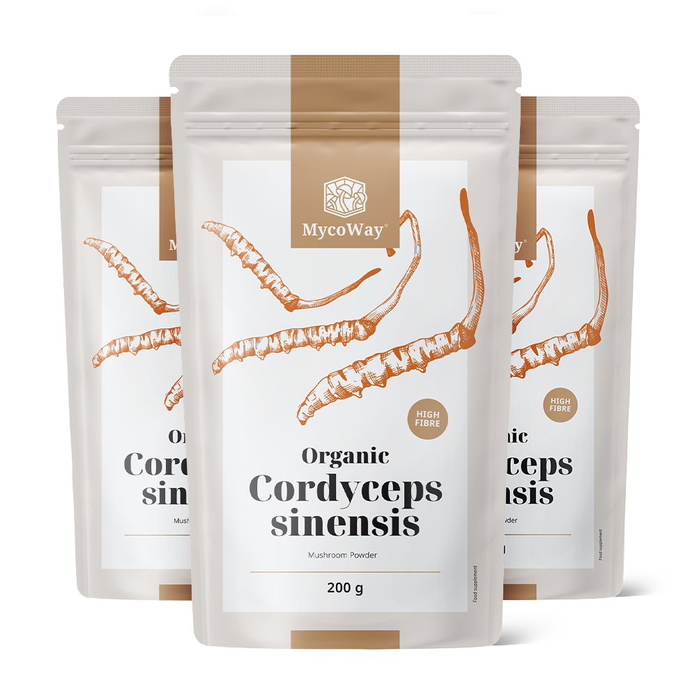 BIO Cordyceps sinensis v prahu